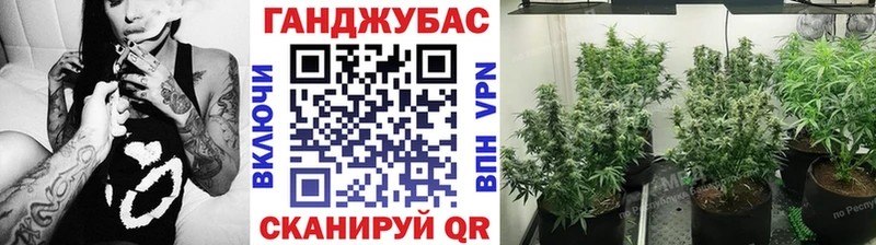 Купить закладку Псилоцибиновые грибы  A-PVP  ГАШ  МЕФ  МАРИХУАНА  Кольчугино