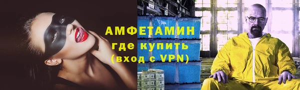 прущая мука Вяземский
