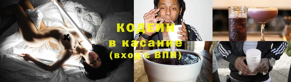 прущая мука Вяземский
