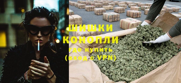 ГАЛЛЮЦИНОГЕННЫЕ ГРИБЫ Вязьма