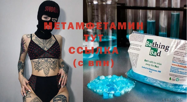 прущая мука Вяземский