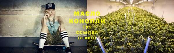 прущая мука Вяземский