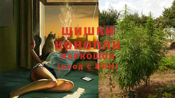 прущая мука Вяземский