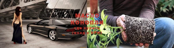 прущая мука Вяземский