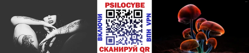 Купить где  Кольчугино  Псилоцибиновые грибы Cubensis 
